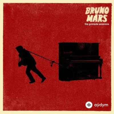 Bruno Mars - Catch a Grenade (The Hooligans Remix)