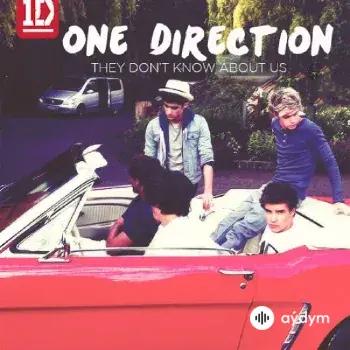 One Direction - They Dont Know About Us