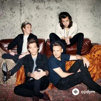 One Direction - Temporary Fix