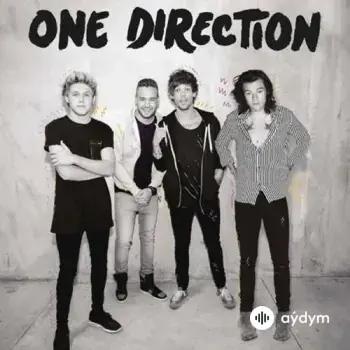 One Direction - History