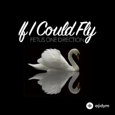 One Direction - If I Could Fly