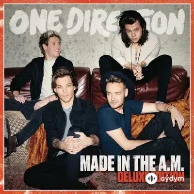 One Direction - Walking in the Wind