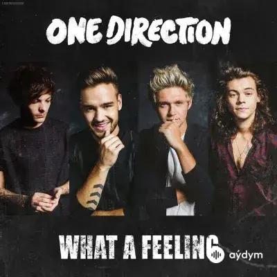 One Direction - What a Feeling