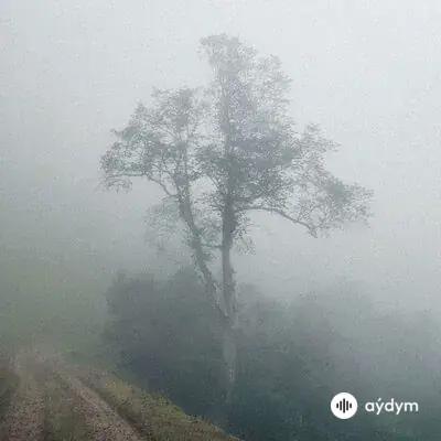 Inaleryy - Emptiness
