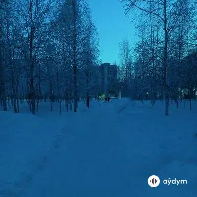 Inaleryy - When I Was Happy