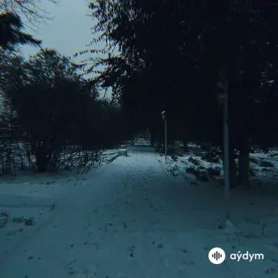 Inaleryy - A Wonderful Time