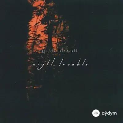 Petit Biscuit  - Night Trouble 
