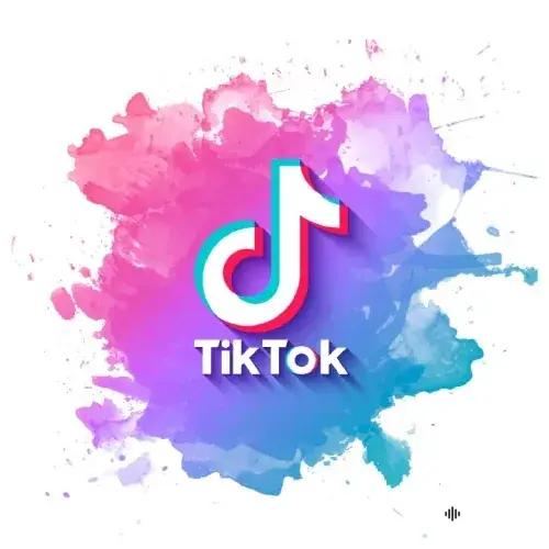 TIK TOK 2024