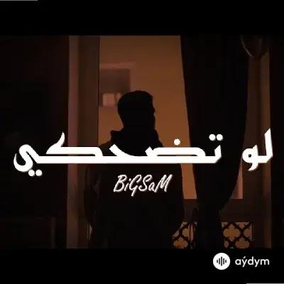 BiGSaM  - Law Tidhaki 