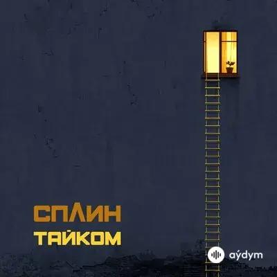 Сплин - Тайком