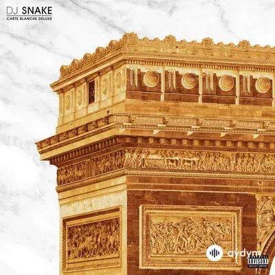 Dj Snake - When The Lights Go Down