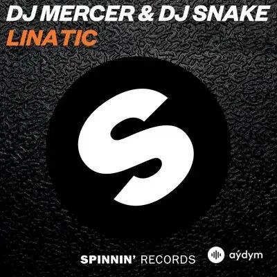 Dj Snake-Dj Mercer  - Lunatic