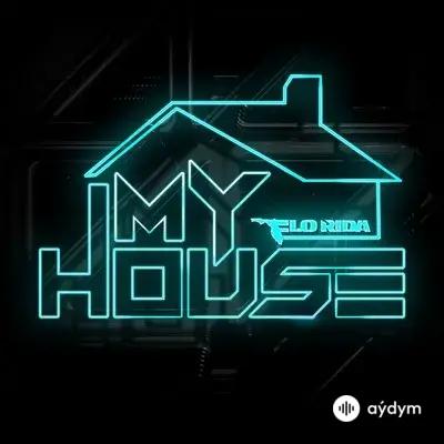 Flo Rida  - Once in a Lifetime