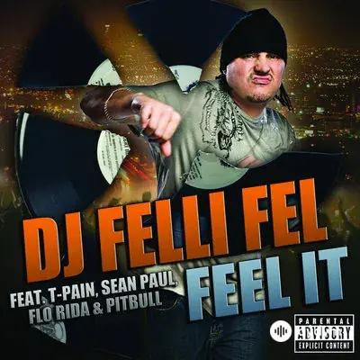 Sean Paul-DJ Felli Fel-Flo Rida -T-Pain -Pitbull - Feel It 