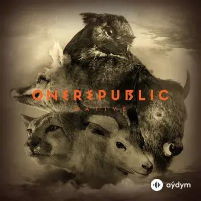 OneRepublic - Life In Color