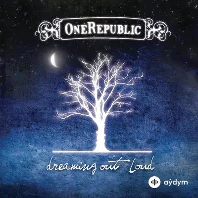 OneRepublic - Goodbye, Apathy