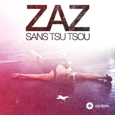 Zaz - J'arrive pas (Live)