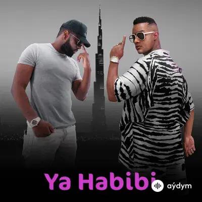 Mohamed1 Ramadan-Gims  - Ya Habibi 
