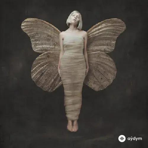 Aurora - Black Water Lilies