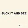 Arctic Monkeys  - She's Thunderstorms