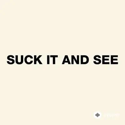 Arctic Monkeys  - She's Thunderstorms