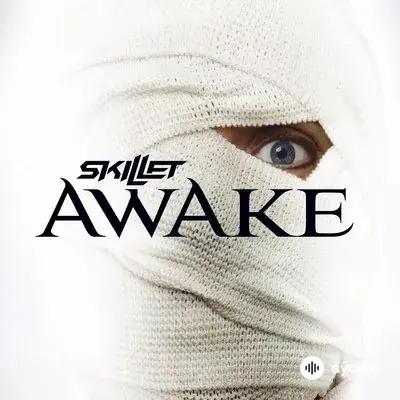 Skillet  - Would It Matter