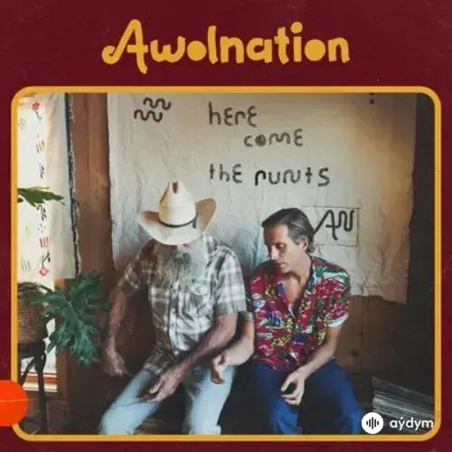 Awolnation - Here Come the Runts