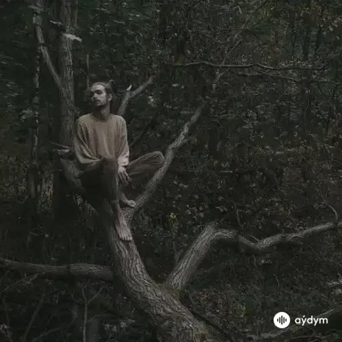 Лампабикт-Элли на маковом поле  - Немерено