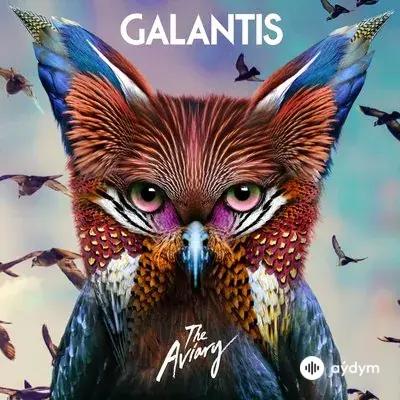 Galantis - Hey Alligator
