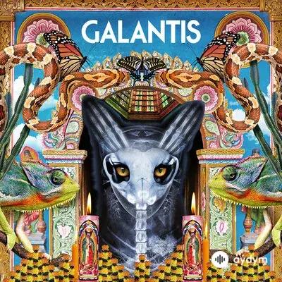Galantis - Never Felt A Love Like This - & Hook N Sling & Dotan
