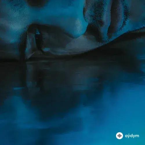 Canozan  - Ağlama Ben Ağlarım