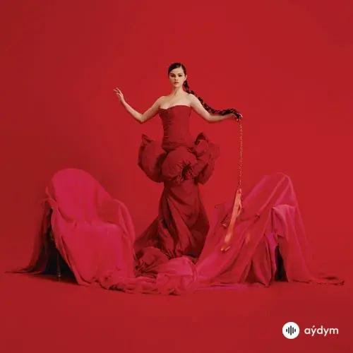 Selena Gomez - Adiós