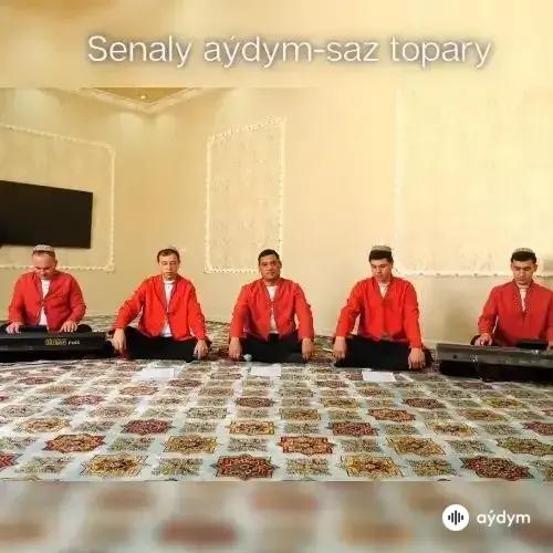Senaly aýdym-saz topary - Resul Alladyr