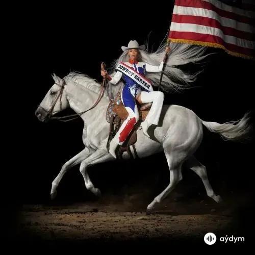 Beyonce  - Ameriican Requiem