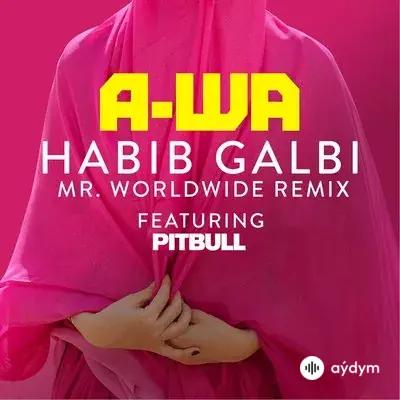 Pitbull - Habib Galbi - & A-WA & Mr. Worldwide