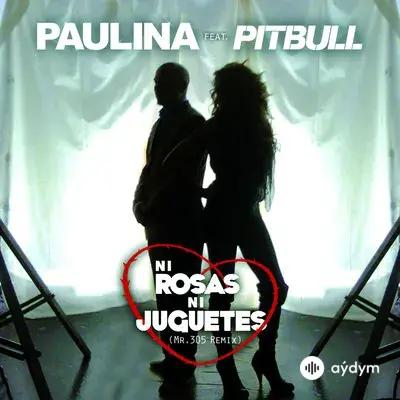 Pitbull - Ni Rosas, Ni Juguetes - & Paulina Rubio