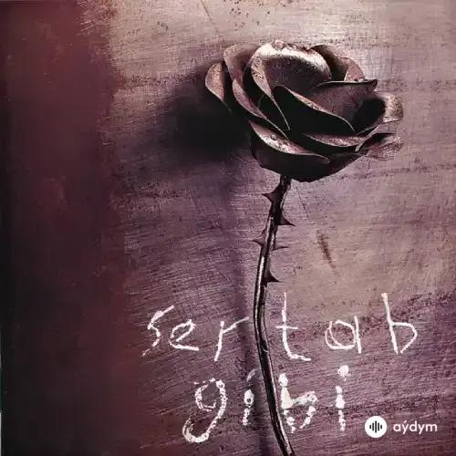 Sertab Erener - Incelikler