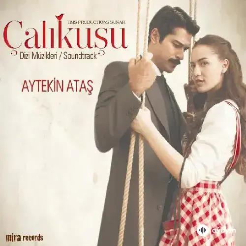 Aytekin Ataş - Çalıkuşu - Jenerik