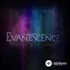 Evanescence - What You Want