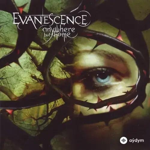 Evanescence - Haunted (Live in Europe)