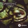 Evanescence - Haunted (Live in Europe)