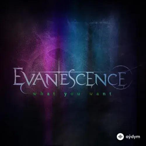 Evanescence - What You Want