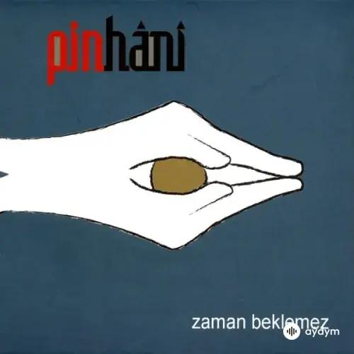 Pinhani - Sevmekten Usanmam