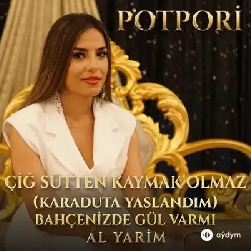 Aylin Demir - Çig Sütten Kaymak Olmaz / Karaduta Yaslandim / Bahçenizde Gül Var Mi / Al Yarim