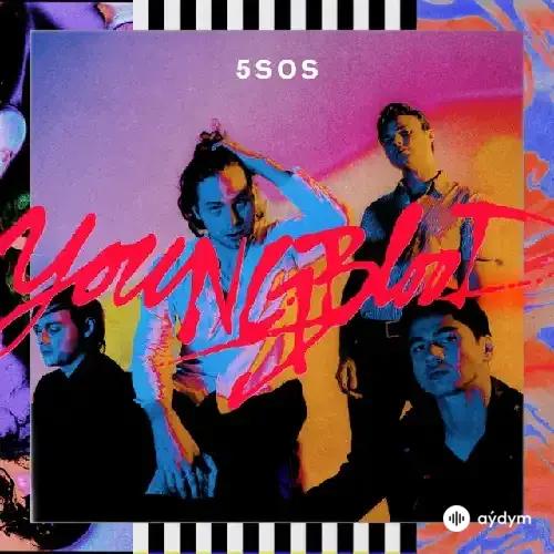 5 Seconds Of Summer  - Youngblood