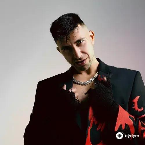 Гарри Топор