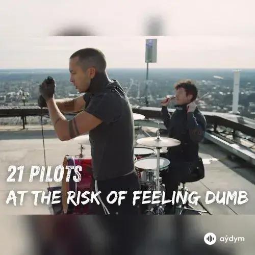 At The Risk Of Feeling Dumb - Twenty One Pilots