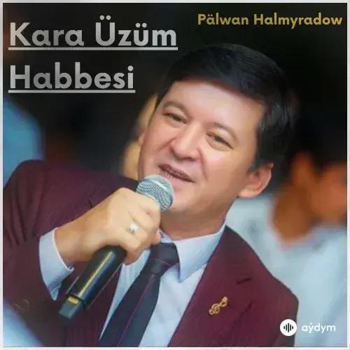 Pälwan Halmyradow - Kara Üzüm Habbesi (Ibo Cover)