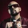 Sean Paul-DJ Felli Fel-Pitbull - Feel It - & T-Pain & Sean Paul & Flo Rida & Pitbull