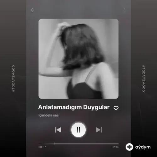 Anlatamadığım Duygular